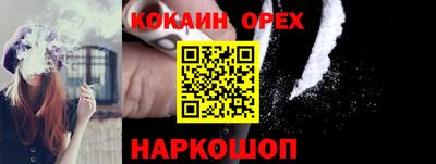 индика Пенза