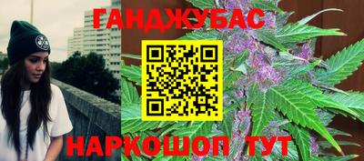 индика Пенза