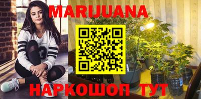 индика Пенза