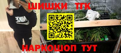 индика Пенза