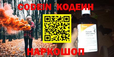индика Пенза