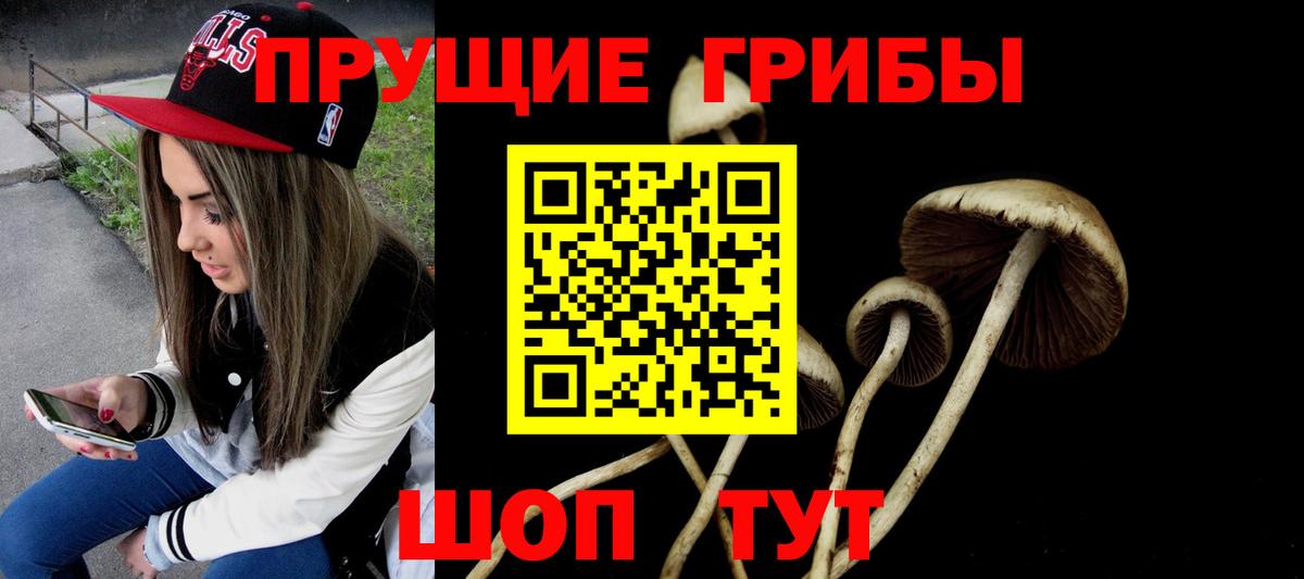 Псилоцибиновые грибы Psilocybine cubensis Тавда
